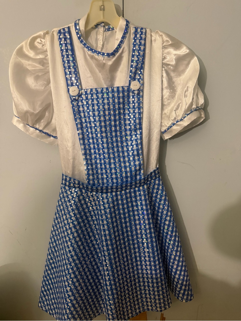 Wizard of Oz Dorothy Costume Large + Steve Madden Ruby Shoes Kids 1